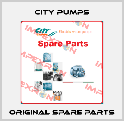 City Pumps