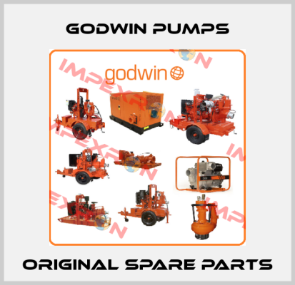 Godwin Pumps