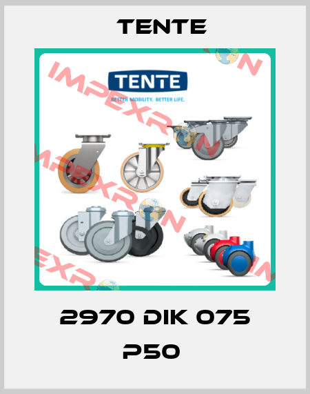 2970 DIK 075 P50  Tente