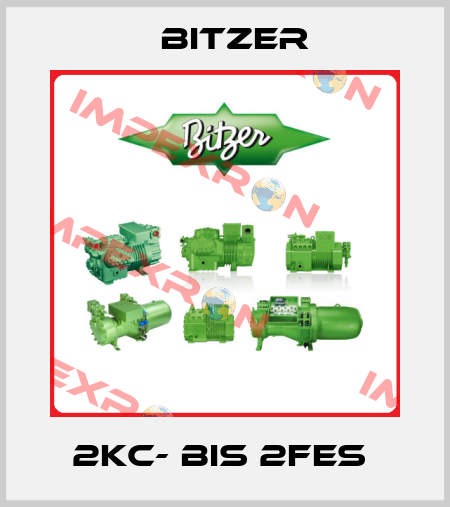 2KC- BIS 2FES  Bitzer