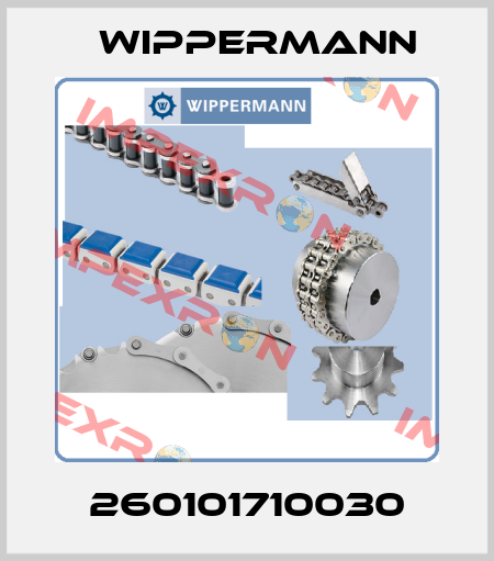 260101710030 Wippermann