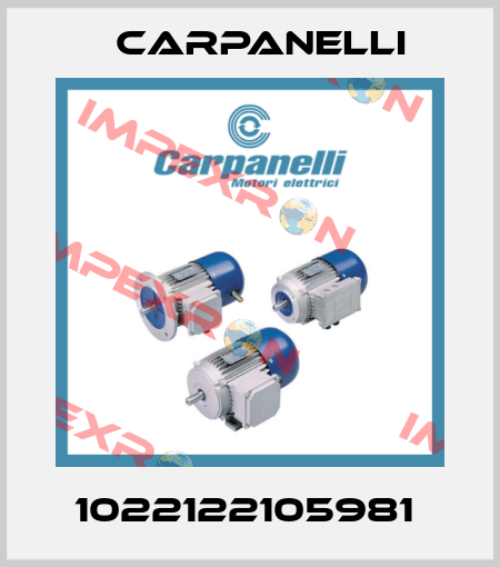 1022122105981  Carpanelli
