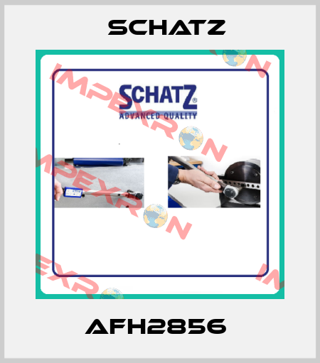 AFH2856  Schatz