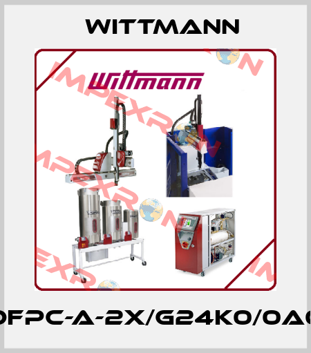 VT-DFPC-A-2X/G24K0/0A0F/V Wittmann