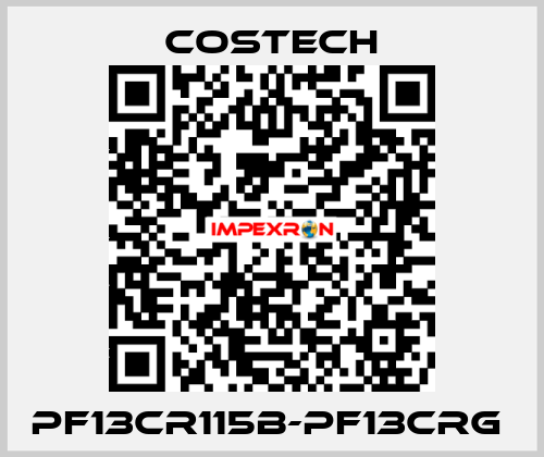 PF13CR115B-PF13CRG  Costech