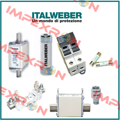 1539025  Italweber