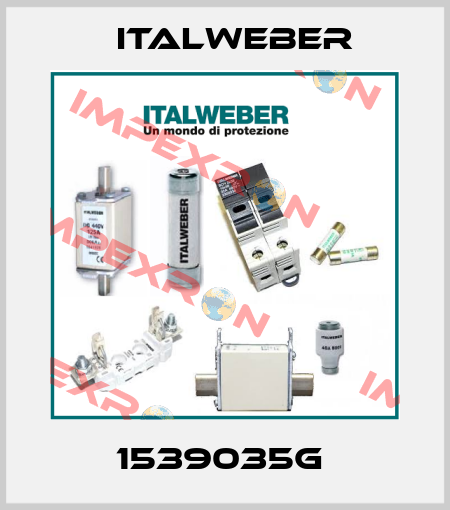 1539035G  Italweber