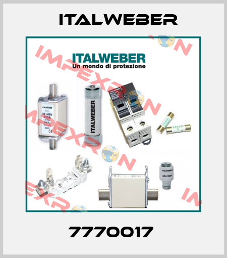 7770017  Italweber
