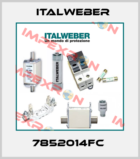 7852014FC  Italweber