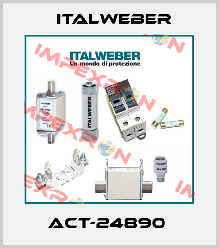 ACT-24890  Italweber