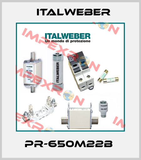 PR-650M22B  Italweber