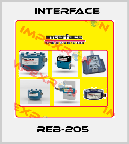 REB-205  Interface