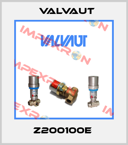Z200100E  Valvaut