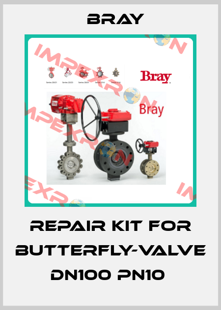 Repair kit for butterfly-valve DN100 PN10  Bray