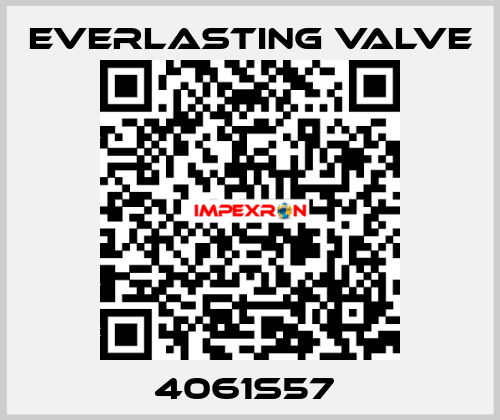 4061S57  Everlasting Valve