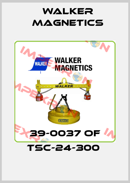 39-0037 OF TSC-24-300  Walker Magnetics