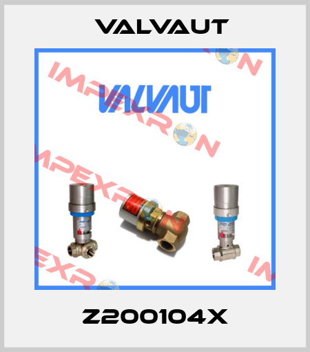 Z200104X Valvaut