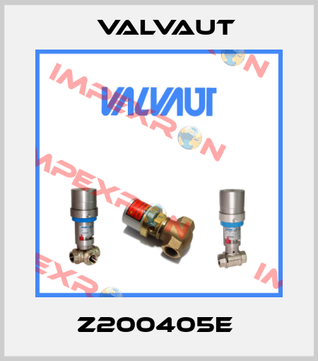 Z200405E  Valvaut