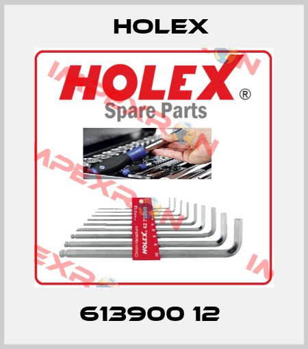 613900 12  Holex