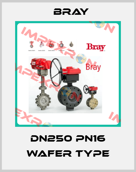 DN250 PN16 Wafer Type Bray