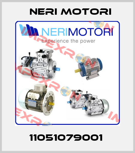 11051079001  Neri Motori