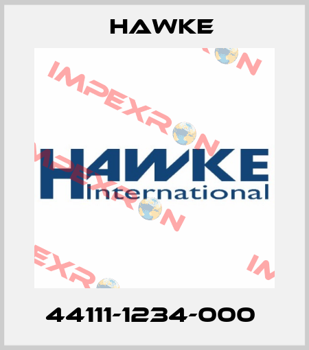 44111-1234-000  Hawke