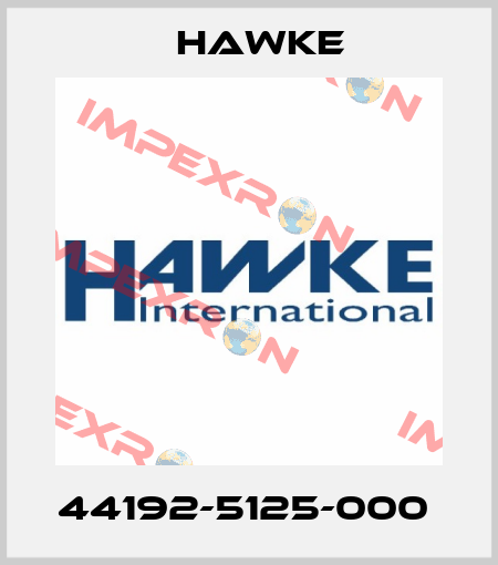 44192-5125-000  Hawke