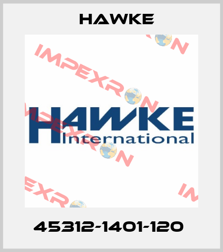 45312-1401-120  Hawke