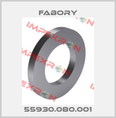 55930.080.001 Fabory