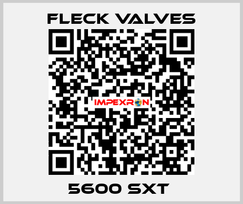 5600 sxt  Fleck Valves