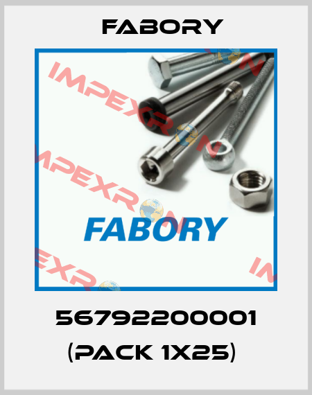 56792200001 (pack 1x25)  Fabory