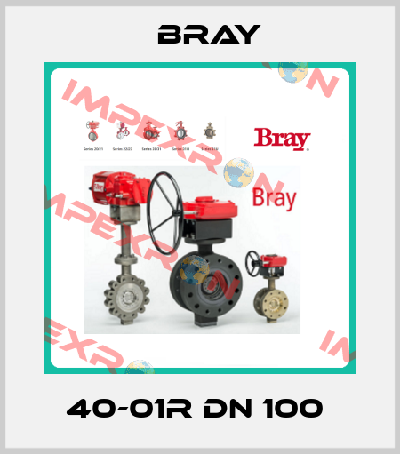 40-01R DN 100  Bray