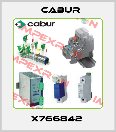 X766842  Cabur