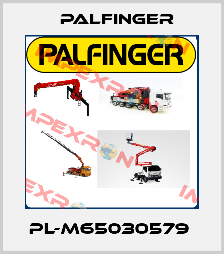 PL-M65030579  Palfinger