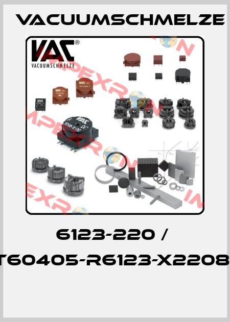 6123-220 /  T60405-R6123-X22081  Vacuumschmelze