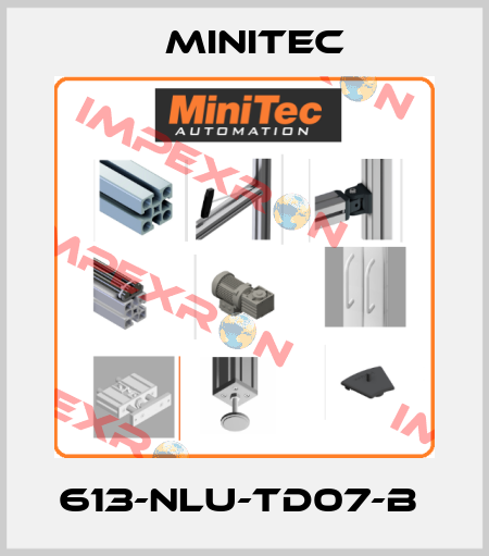 613-NLU-TD07-B  Minitec