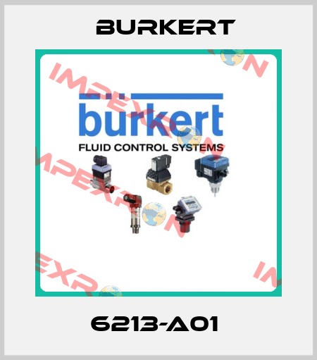 6213-A01  Burkert