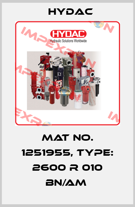 Mat No. 1251955, Type: 2600 R 010 BN/AM  Hydac