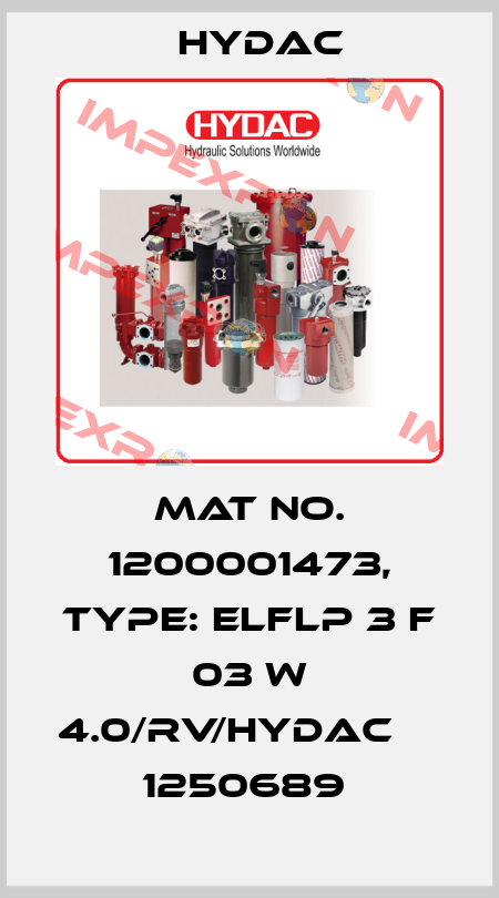 Mat No. 1200001473, Type: ELFLP 3 F 03 W 4.0/RV/HYDAC         1250689  Hydac