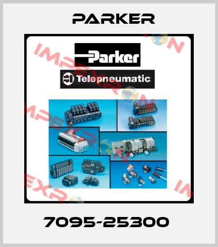 7095-25300  Parker