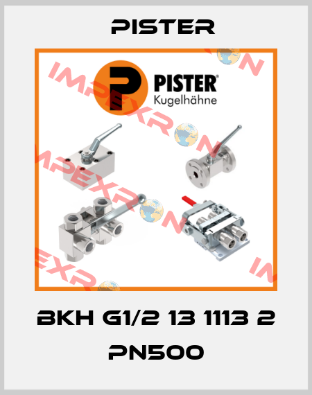 BKH G1/2 13 1113 2 PN500 Pister