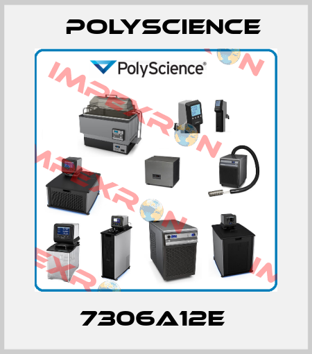 7306A12E  Polyscience