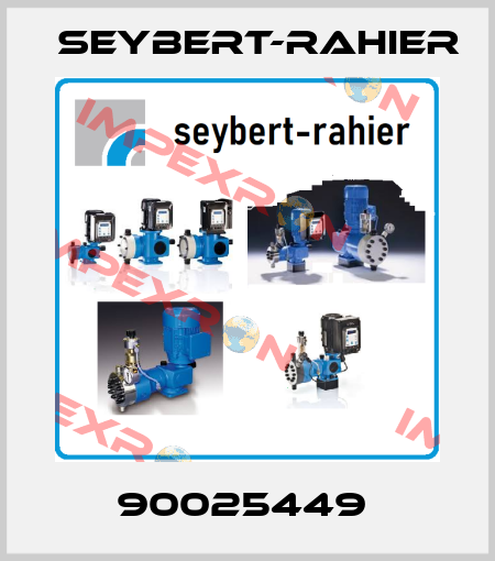 90025449  Seybert-Rahier