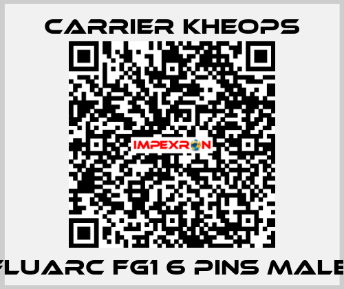  Fluarc FG1 6 Pins Male  Carrier Kheops