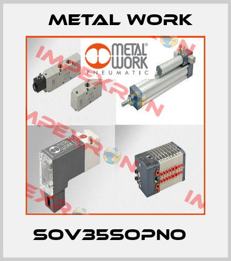 SOV35SOPNO   Metal Work