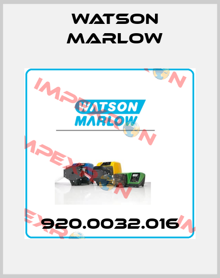 920.0032.016 Watson Marlow