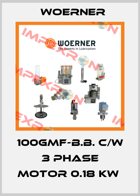 100GMF-B.B. C/W 3 PHASE MOTOR 0.18 KW  Woerner