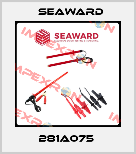 281A075  Seaward