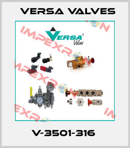 V-3501-316  Versa Valves