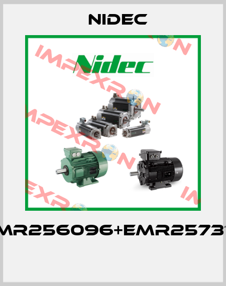 EMR256096+EMR257319  Nidec